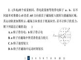 人教版高考物理一轮总复习课时质量评价29磁场对运动电荷的作用力习题课件