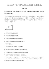 2022-2023学年湖南省岳阳地区高三上学期第一次适应性考试 物理试题