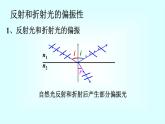 2021-2022学年高二物理竞赛课件：反射和折射光的偏振性