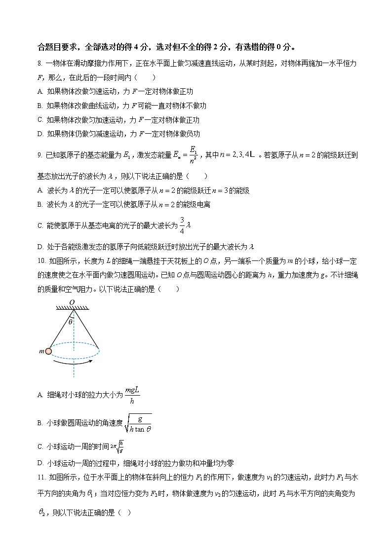2023届湖南省岳阳市高三上学期适应性考试物理试题（解析版）第3页