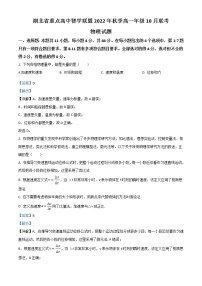 2023湖北省重点高中智学联盟高一上学期10月联考试题物理含解析