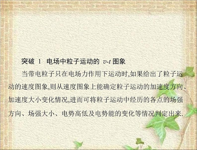 2022-2023年高考物理一轮复习 电场中的图象专题课件课件第1页