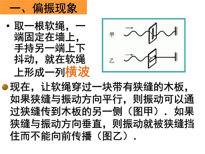 人教版（2019）选择性必修 第一册 4.6光的偏振 课件第3页