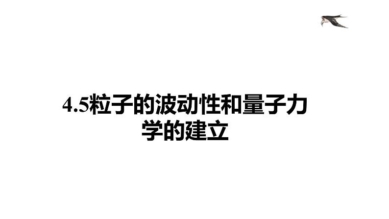 人教版选修三4.5 粒子的波动性和量子力学的建立 课件01