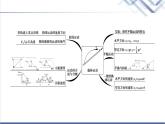 粤教版高中物理必修第二册第1章章末综合提升课件+学案+测评含答案