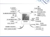 粤教版高中物理必修第一册第3章章末综合提升课件+学案+测评含答案