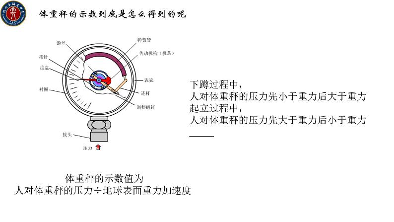 人教版必修一4.6 超重与失重 课件04