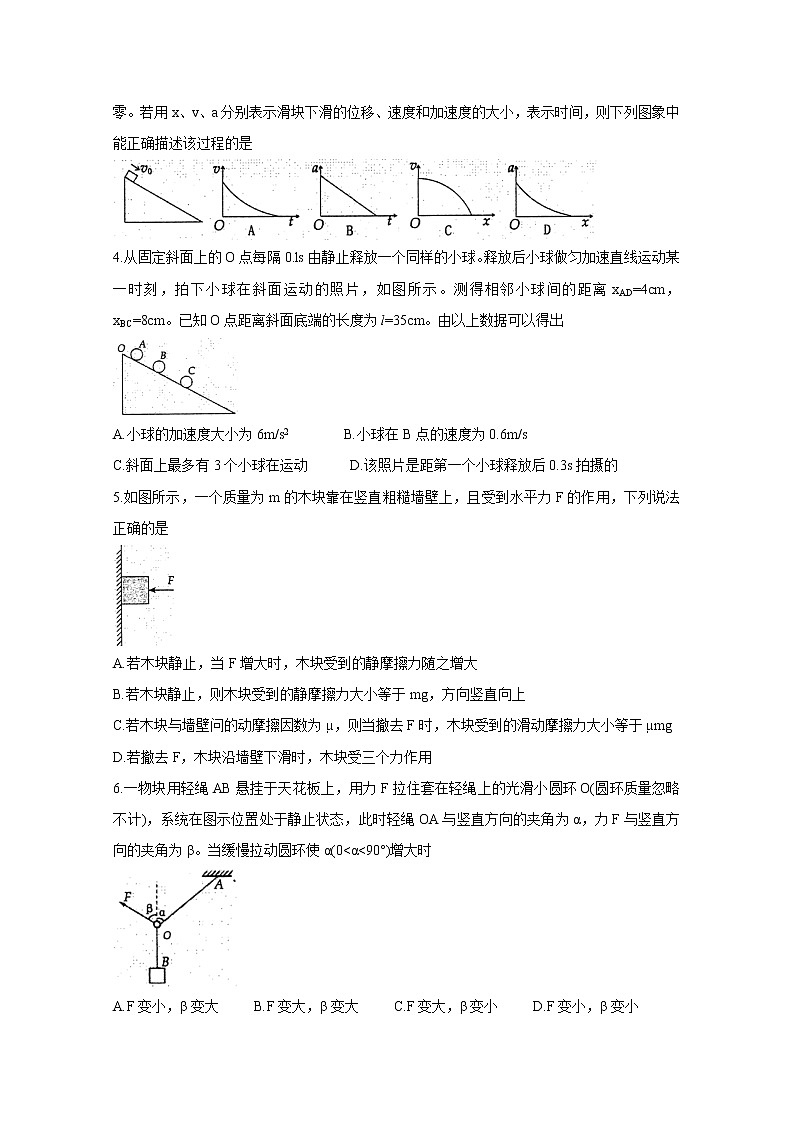 2021洛阳高三上学期期中考试物理含答案02