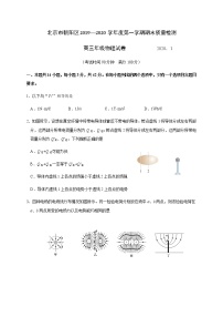 2020北京朝阳区高三上学期期末考试物理试题含答案