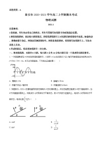 2021泰安高二上学期期末考试物理试题含答案