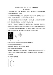 2021武汉部分重点中学高二上学期期末联考物理含答案