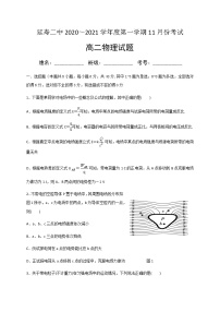 2021省哈尔滨延寿县二中高二11月月考物理试题含答案