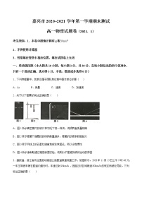 2021嘉兴高一上学期期末检测物理试卷含答案