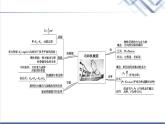 鲁科版高中物理必修第二册第1章章末综合提升课件+学案+测评含答案