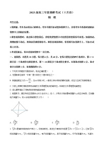 2022-2023学年河南省安阳市高三上学期10月调研考试物理试题（解析版）