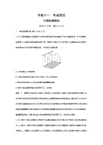 高考专题十一电磁感应专题检测