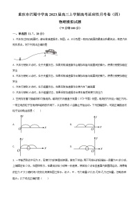 2022-2023学年重庆市巴蜀中学高三上学期11月适应性月考模拟试题（四）物理（解析版）