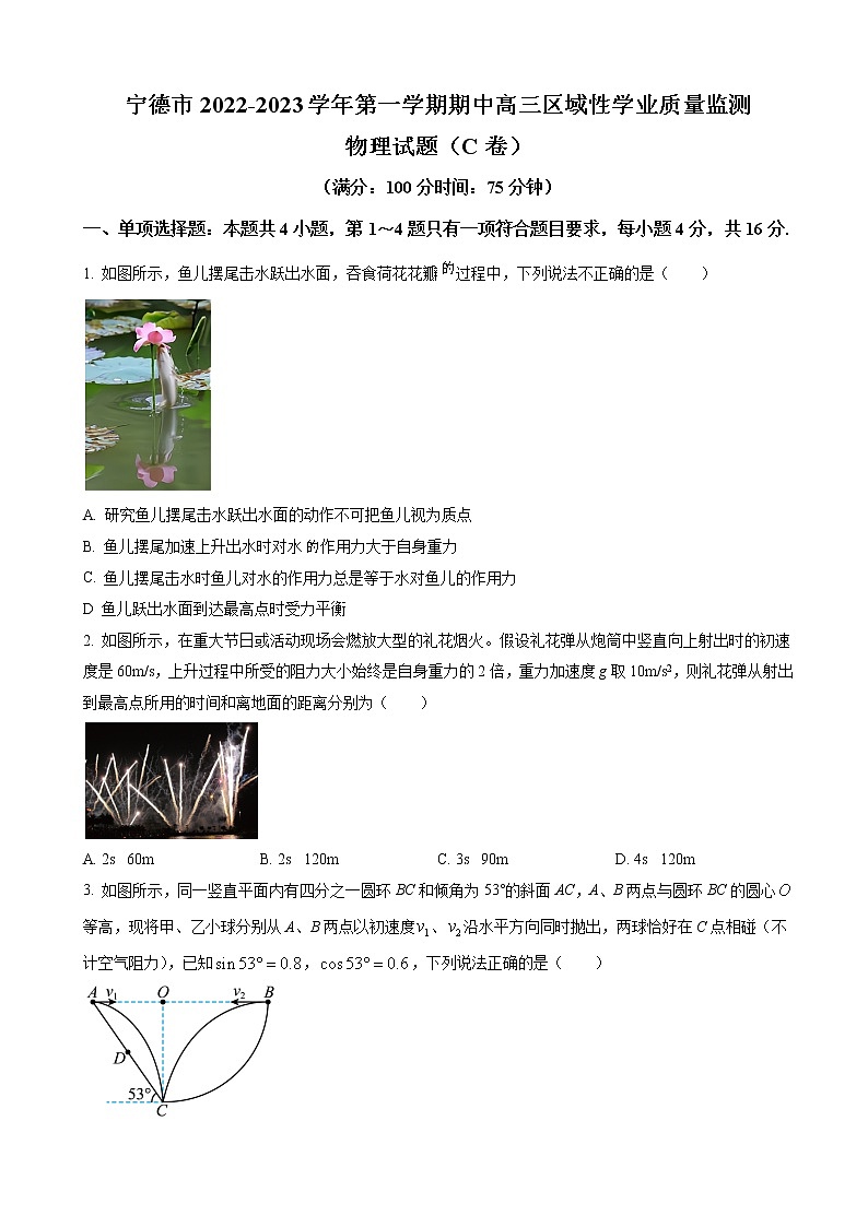 2023届福建省宁德市高三上学期期中区域性学业质量检测物理试题 word版第1页