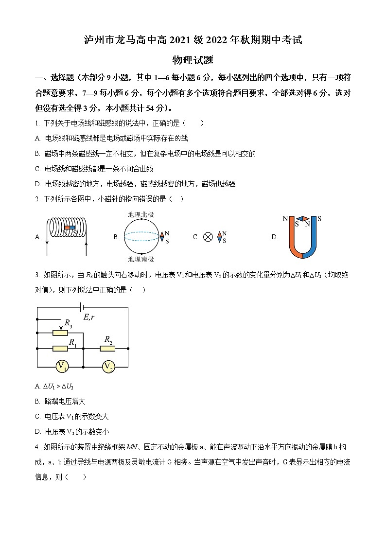 2023泸州龙马高中高二上学期期中物理试题含解析01