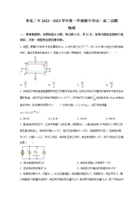 2023青岛二中高二上学期期中考试物理试题含答案