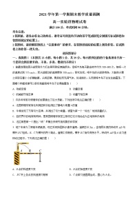 精品解析：浙江省绍兴市柯桥区2021-2022学年高一（上）期末教学质量调测物理试题 (实验班）