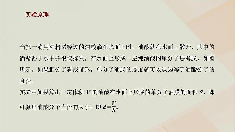 新人教版高中物理选择性必修第三册第一章分子动理论第2节实验：用油膜法估测油酸分子的大小课件02