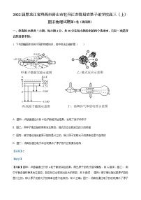 2022届黑龙江省鸡西市密山市牡丹江农管局农垦子弟学校高三（上）期末物理试题含解析