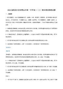 2022届黑龙江省双鸭山市第一中学高三（上）期末理综物理试题含解析