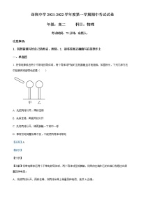 2021-2022年广东省深圳中学高二（上）期中物理试题含解析