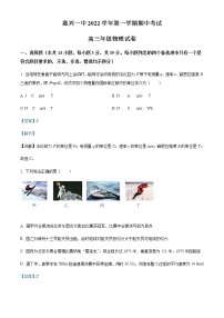 2022-2023学年浙江省嘉兴市第一中学高三上学期期中检测物理试题含解析