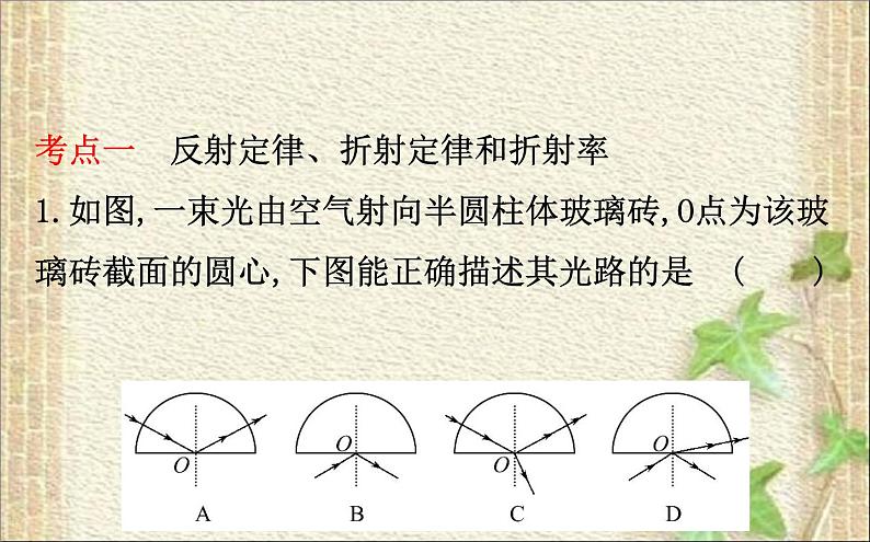 2022-2023年高考物理一轮复习 光与光的本性课件02