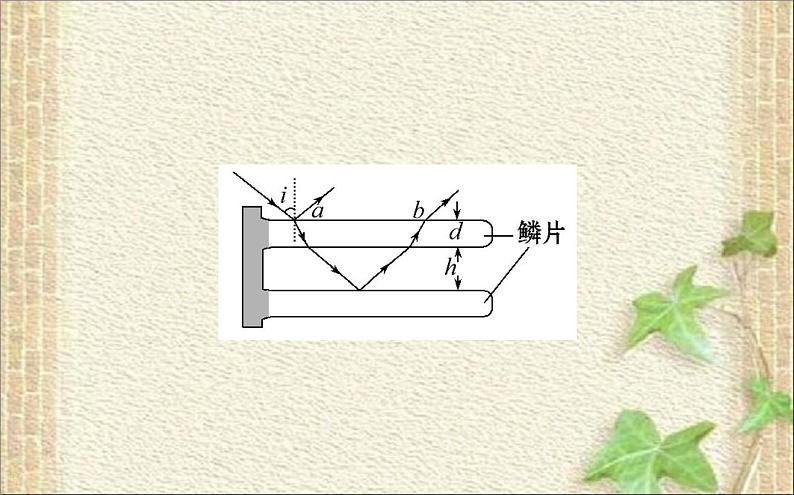 2022-2023年高考物理一轮复习 光与光的本性课件08