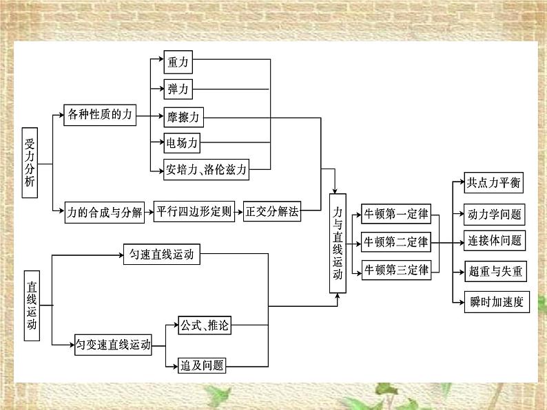 2022-2023年高考物理一轮复习 力与物体的平衡和直线运动课件01