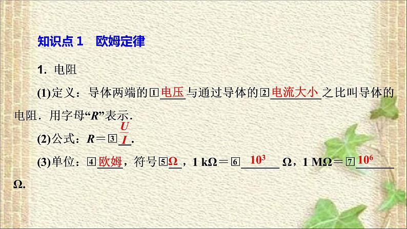 2022-2023年高考物理一轮复习 欧姆定律 (3)课件02