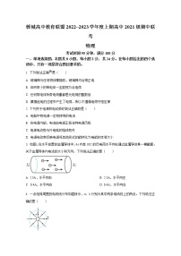 四川省成都市蓉城高中教育联盟2022-2023学年高二物理上学期期中联考试题（Word版附答案）