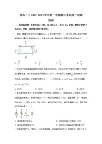 山东省青岛第二中学2022-2023学年高二物理上学期期中考试试题（Word版附答案）