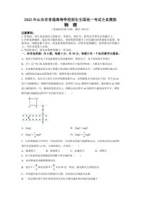 2023年山东省普通高等学校招生全国统一考试全真模拟 物理试题