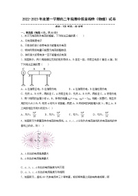 2022-2023学年天津市实验中学滨海学校高二上学期期中质量调查物理试题 解析版