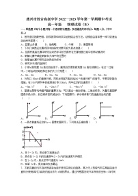广东省惠州市综合高级中学2022-2023学年高一上学期期中考试物理试题(无答案)