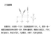 (新高考)高考物理一轮复习课件第2章实验三《探究两个互成角度的力的合成规律》(含解析)