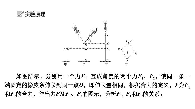 (新高考)高考物理一轮复习课件第2章实验三《探究两个互成角度的力的合成规律》(含解析)第5页