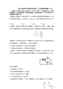 2022-2023学年河南省郑州外国语学校高三上学期调研（10）物理试题