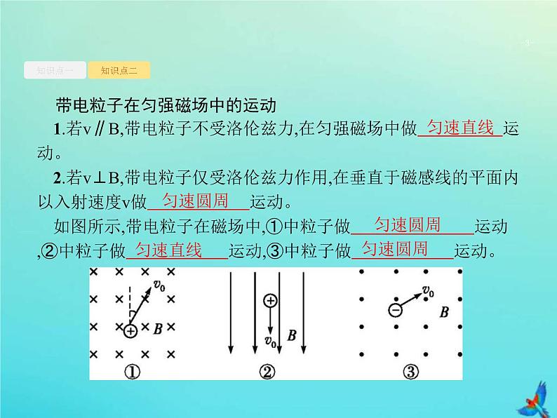 (新课标版)高考物理一轮复习基础课件24磁吃运动电荷的作用 (含解析)03