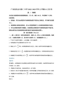 广东省信宜市第二中学2022-2023学年高二物理上学期11月月考试题（Word版附解析）