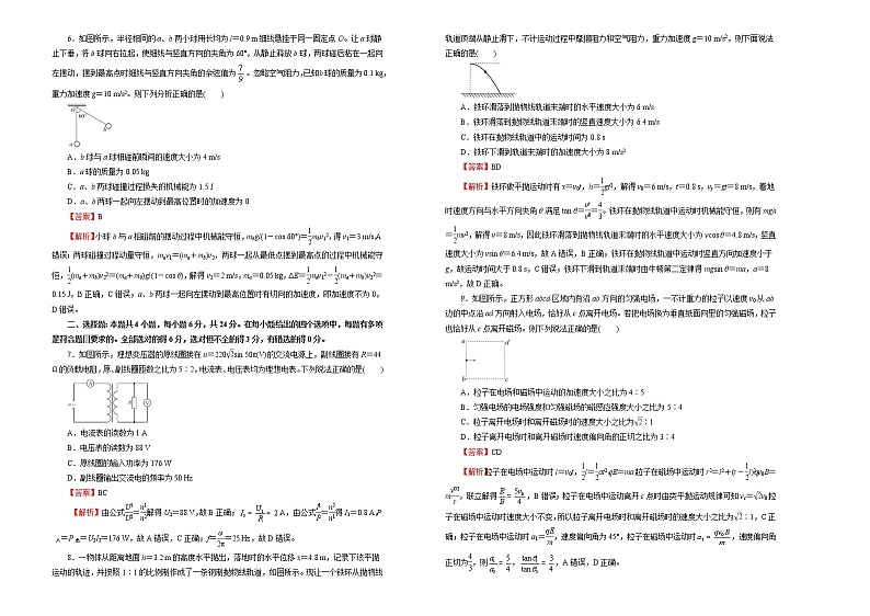（新高考）河北高考押题卷 物理卷(解析版，A3版)第2页