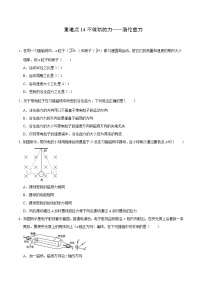 高考物理二轮复习重难点14不做功的力——洛伦兹力（2份打包，解析版+原卷版，可预览）