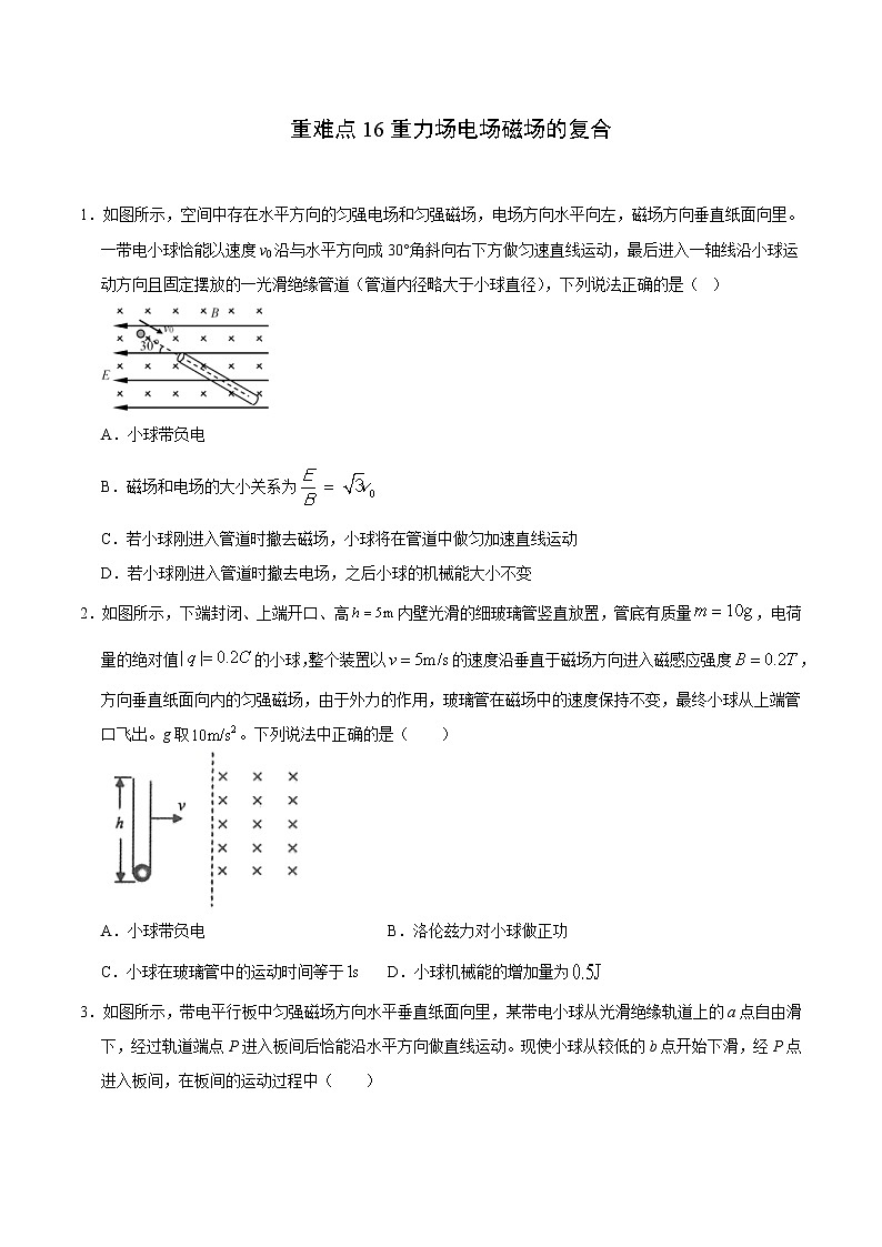 高考物理二轮复习重难点16重力场电场磁场的复合（原卷版）第1页
