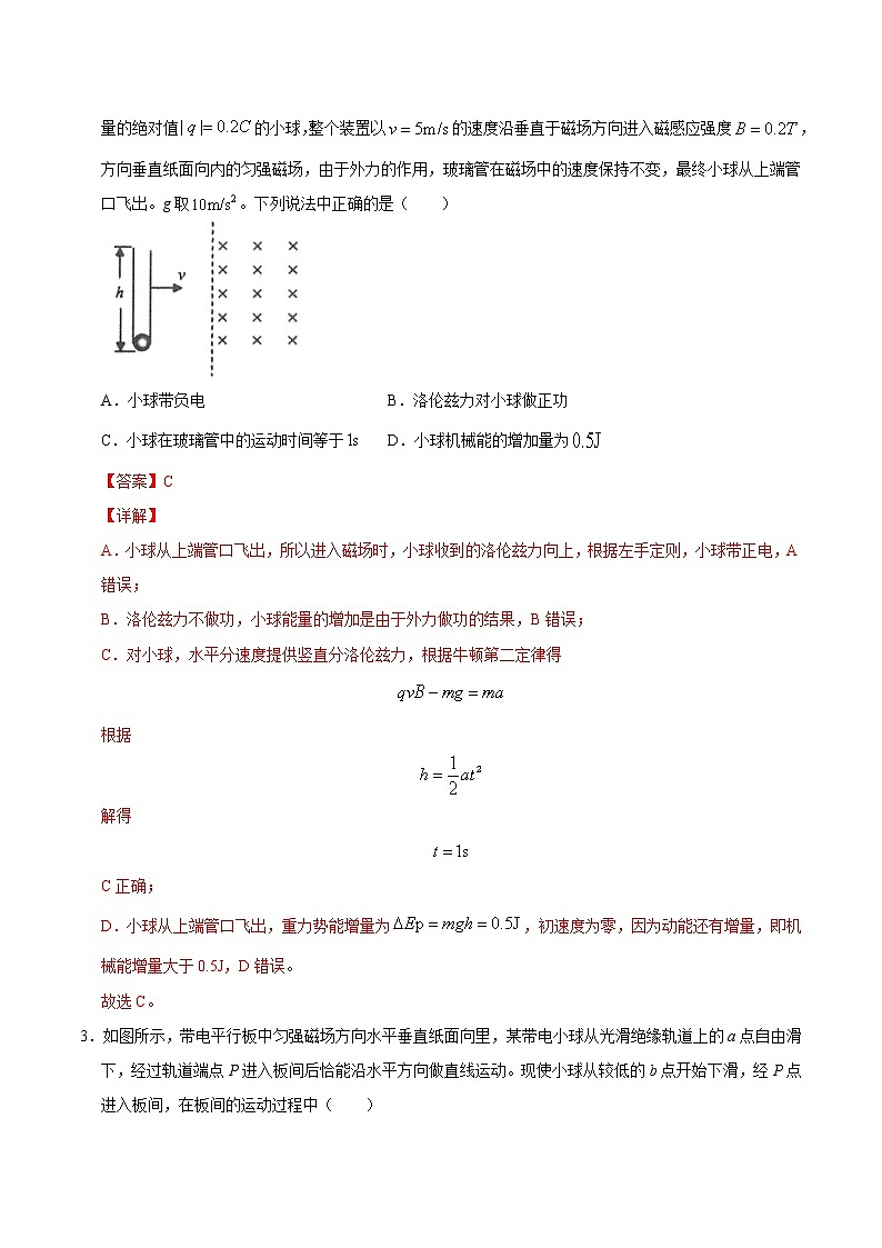 高考物理二轮复习重难点16重力场电场磁场的复合（解析版）第2页