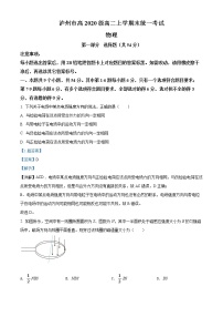 2021-2022学年四川省泸州市高二上学期期末统一考试物理试题  （解析版）