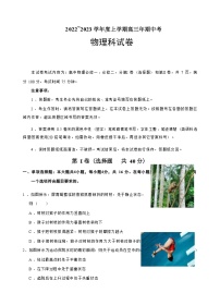 福建省泉州市、南安市两校2022-2023学年高三上学期期中考试物理试卷（Word版含答案）